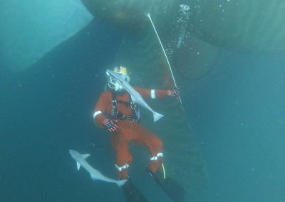 Propeller Polishing With Diver