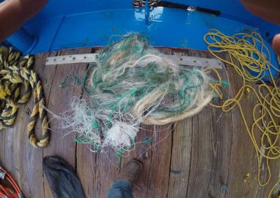 Fishing Net found in Propeller