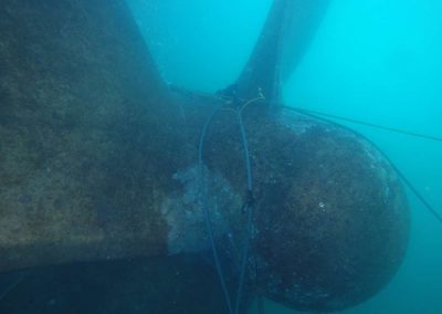 Fouled Propeller before Prop Polishing